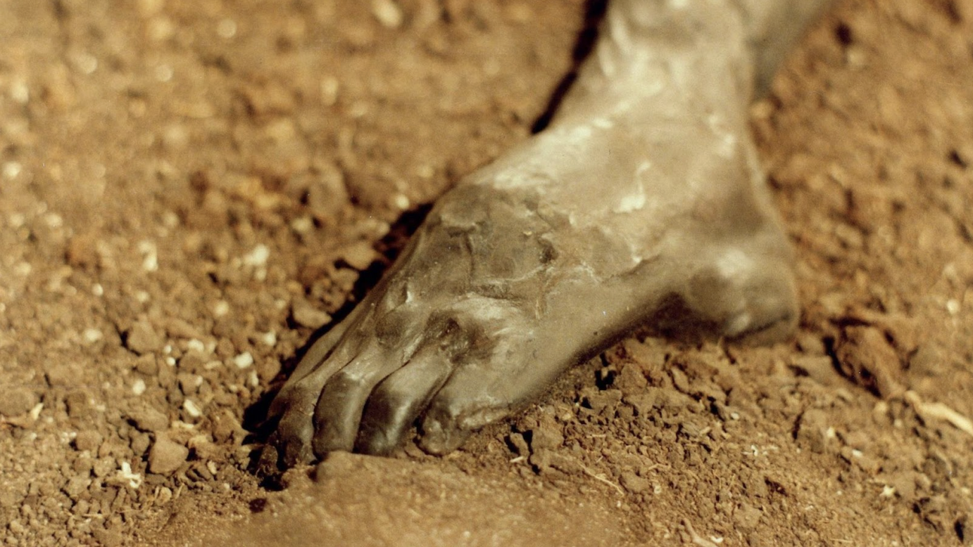 Close-up image of the preserved foot of the Grauballe Man, showing distinct toes and the darkened, leather-like texture of the skin